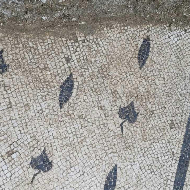 Arheolozi su u blizini Hotela Epidaurus u Cavtatu pronašli prekrasan podni mozaik iz rimskog doba