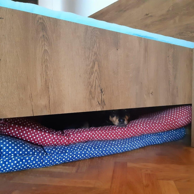 Tita ispod kreveta