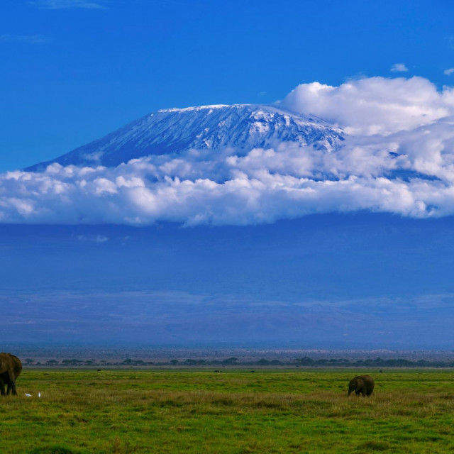 Pogled na Kilimanjaro