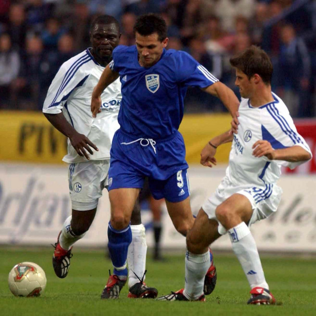 Zoran Zekić protiv Schalkea