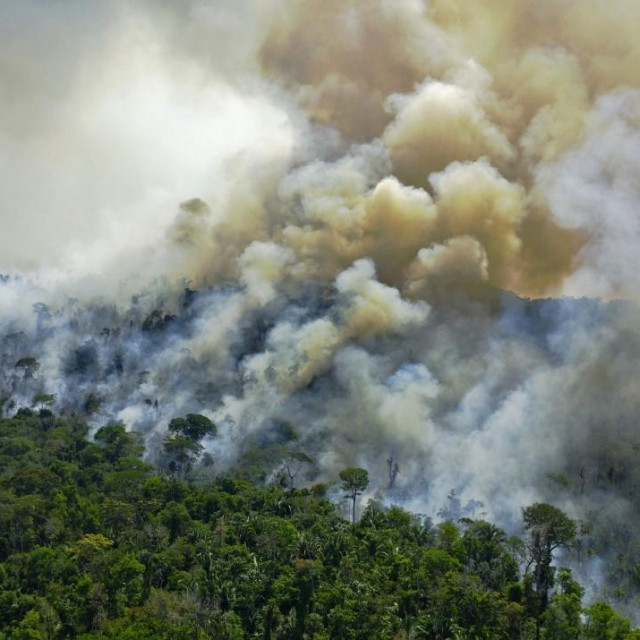 Požar u prašumi Amazone