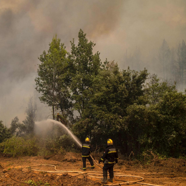 Vatrogasci iz Srbije pomažu grčkim kolegama gasiti požar u Avgariji na otoku Eubeji