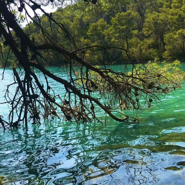 Malo jezero u NP Mljet
Snimila: Ljubica Vuko