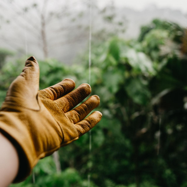 Unsplash