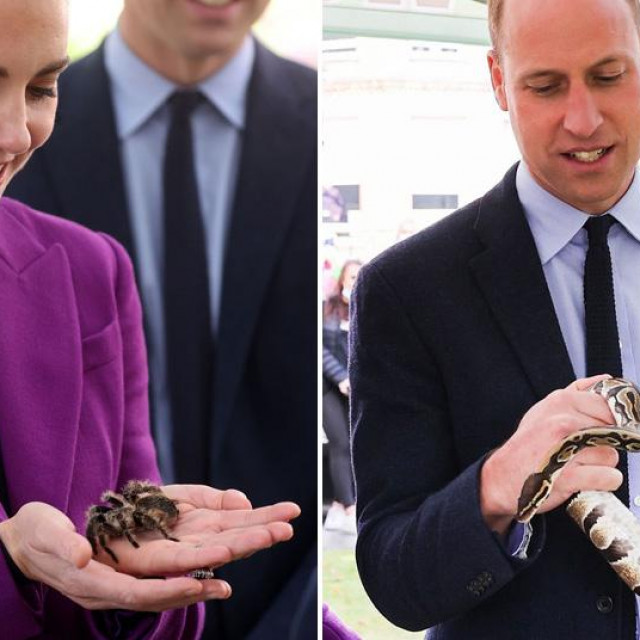 Princeza Kate i princ William