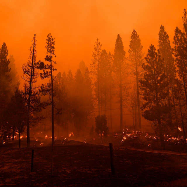 Požar u Nacionalnom parku Sequoia