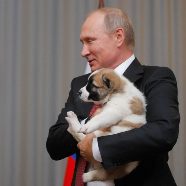 Putin i pas