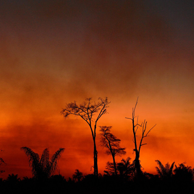 Požar u Amazoniji, 2020.
