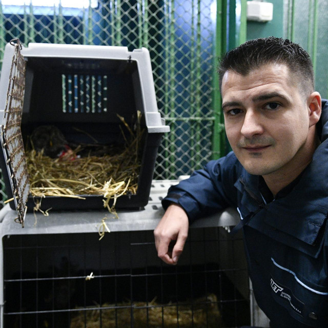 &lt;p&gt;Obilazak divlje sovice koju je spasio vozač ZET-ovog autobusa Dario Buzjak.&lt;/p&gt;

