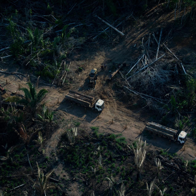 &lt;p&gt;Kamioni odvoze srušena stabla iz prašume Amazone, 2021.&lt;/p&gt;
