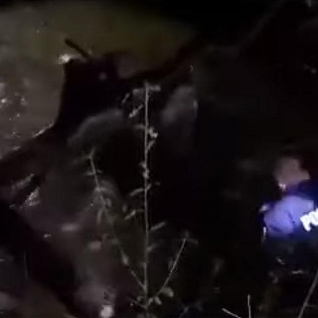 &lt;p&gt;Policija spašava migrante iz rijeke Dragonje&lt;/p&gt;

