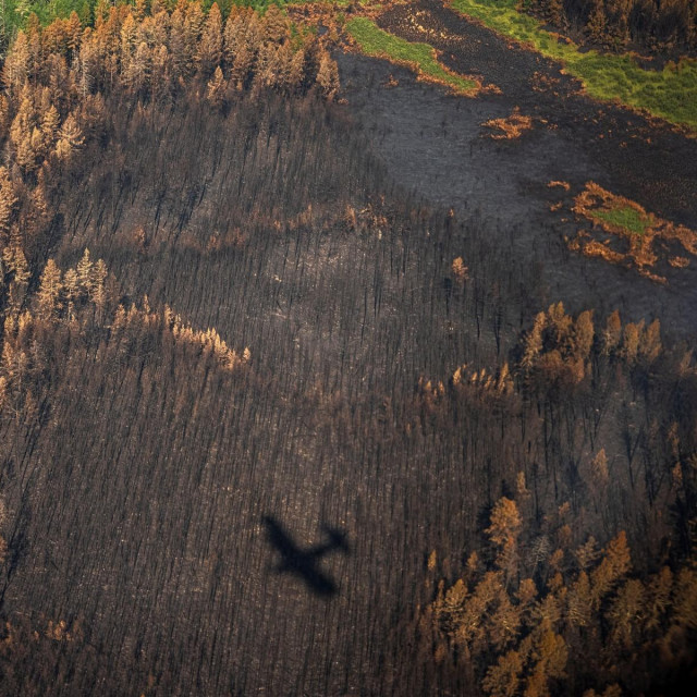 &lt;p&gt;Ekstremne vrućine pridonijele su širenju požara u šumama i tundri na sjeveru Rusije&lt;/p&gt;

