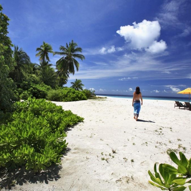 &lt;p&gt;Plaža na Maldivima, ilustracija&lt;/p&gt;
