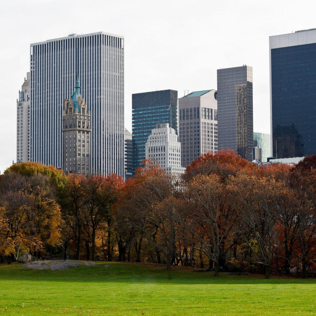 Central Park. New York
