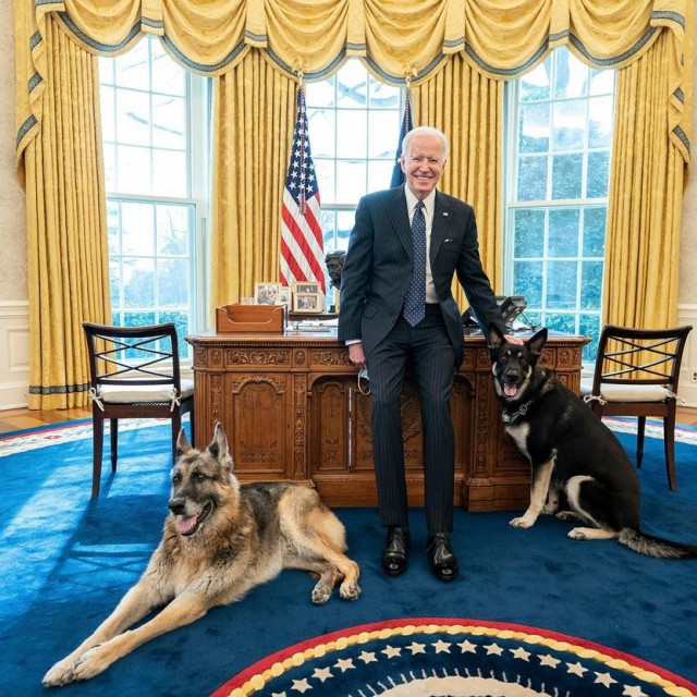 Joe Biden sa svojim psima
