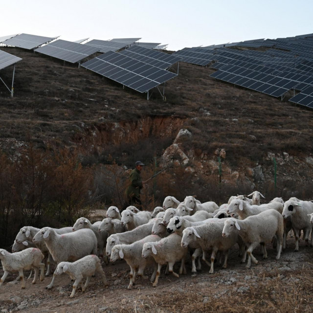 &lt;p&gt;Ovce u provinciji Habei sad idu na ispašu između solarnih panela&lt;/p&gt;
