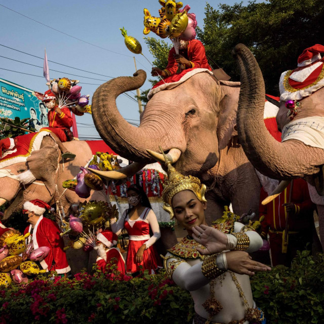Slonovi Božićnjaci s Tajlanda
