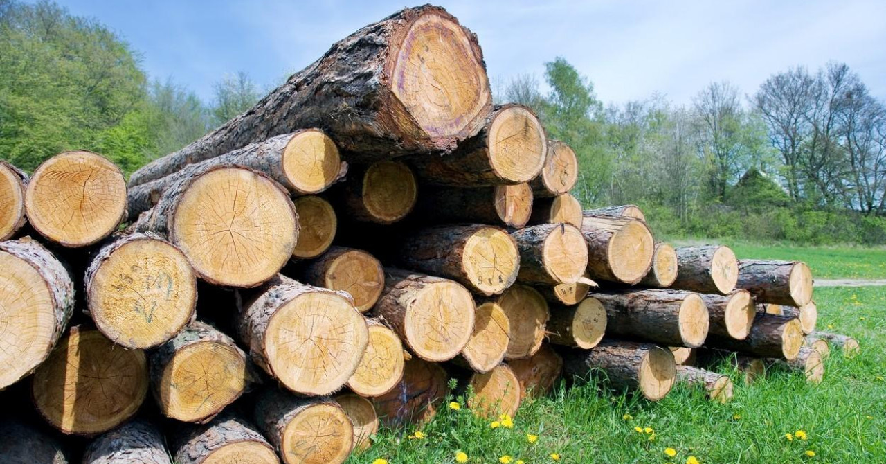 upozorenje građanima policija: budite oprezni zbog prijevara pri kupnji ogrjevnog drva preko interneta