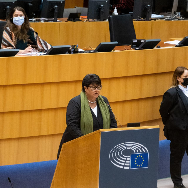 &lt;p&gt;Izvjestiteljica Sabine Verheyen u Europskom parlamentu&lt;/p&gt;
