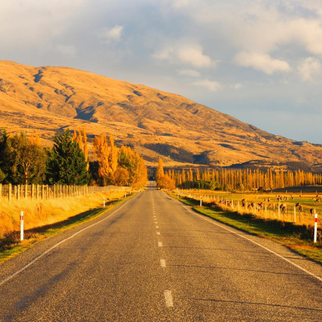 &lt;p&gt;Ruralna cesta na Novom Zelandu&lt;/p&gt;
