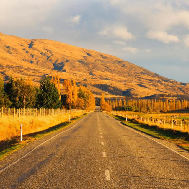&lt;p&gt;ruralna cesta na Novom Zelandu&lt;/p&gt;
