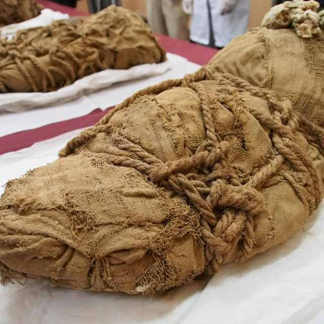 &lt;p&gt;Mumije djece pronađene su na različitim mjestima u grobnici plemenitaša&lt;/p&gt;
