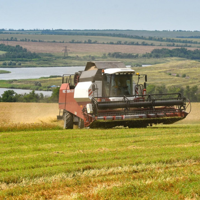 &lt;p&gt;polja pšenice u Ukrajini&lt;/p&gt;
