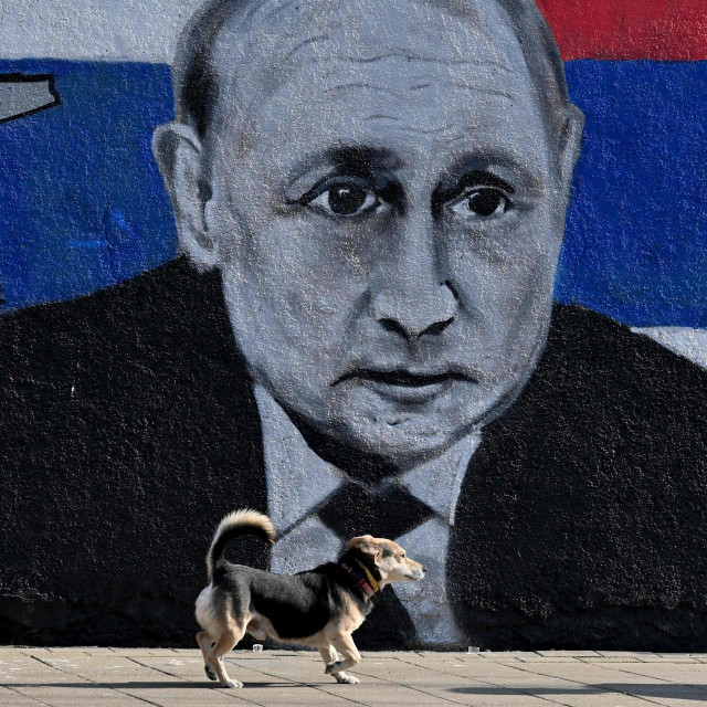 Mural s likom Vladimir Putina u Beogradu
