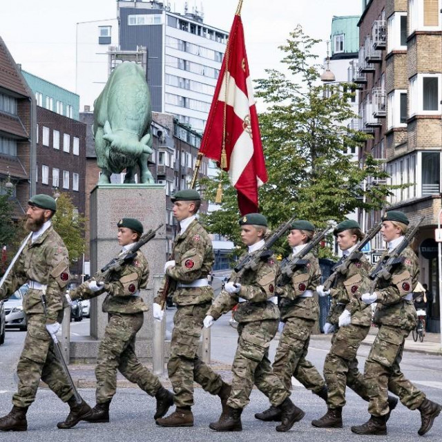 &lt;p&gt;Danska vojska/Ilustracija&lt;/p&gt;
