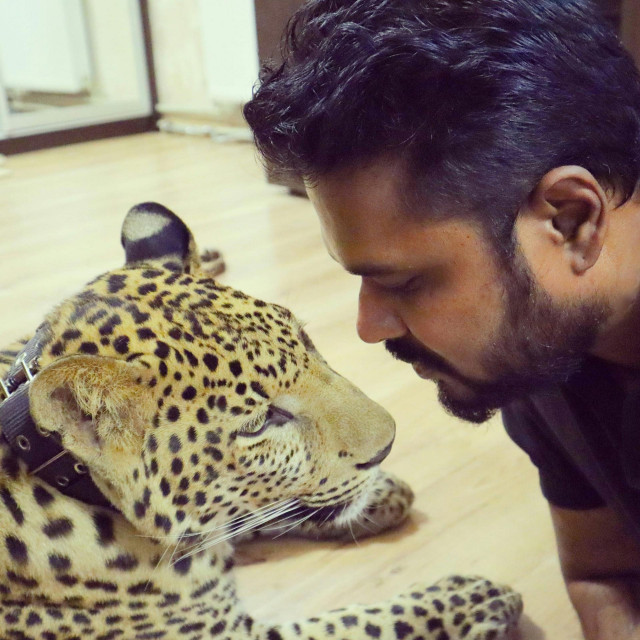 &lt;p&gt;Indijac i njegov leopard&lt;/p&gt;
