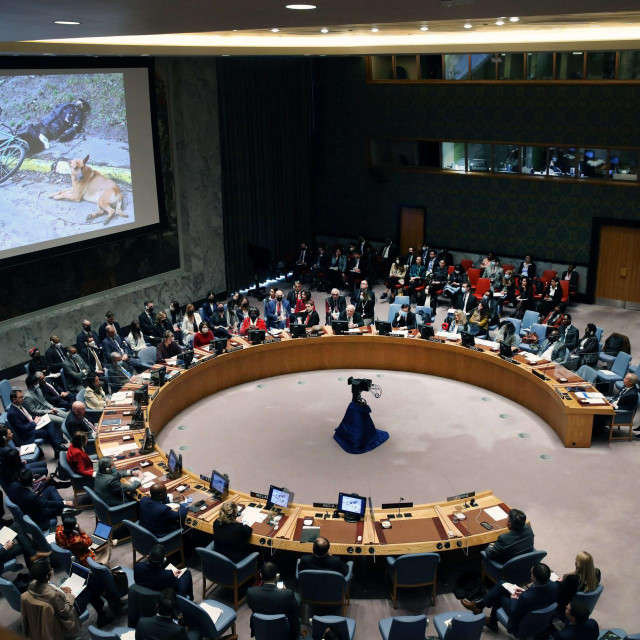 &lt;p&gt;Volodmir Zelenski videovezom obraća se Vijeći sigurnosti UN-a&lt;/p&gt;