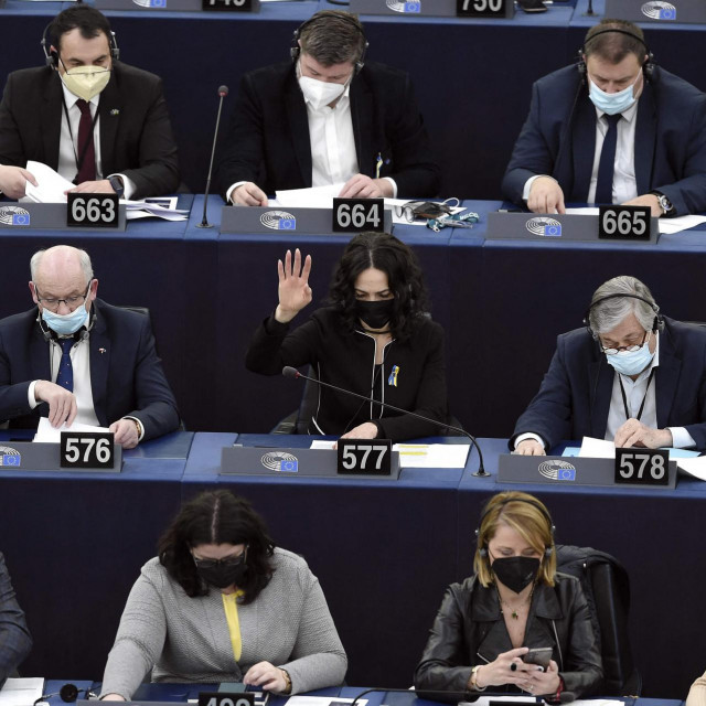 &lt;p&gt;Zastupnici Europskog parlamenta&lt;/p&gt;