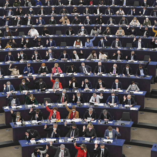 &lt;p&gt;Zastupnici u Europskom parlamentu&lt;/p&gt;