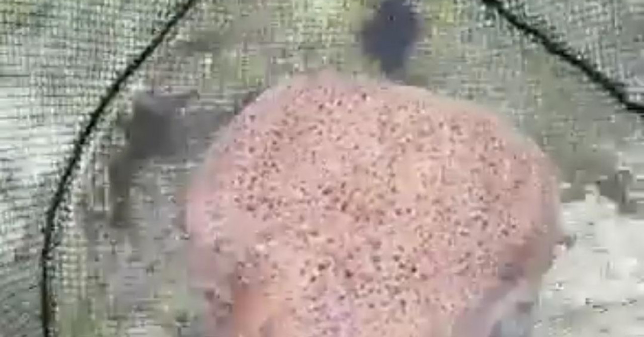 čudesno video: koje neobično stvorenje! pogledajte što je muškarac ulovio u jadranu...
