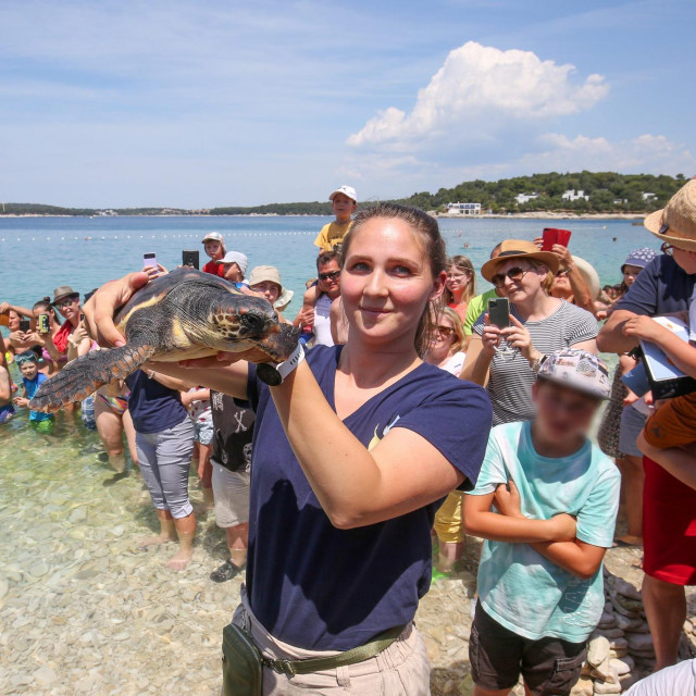 puštanje kornjače Viktorije u more