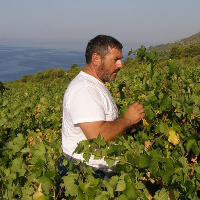 &lt;p&gt;Ivo Carić, vlasnik vinarije Vino Hvar&lt;/p&gt;