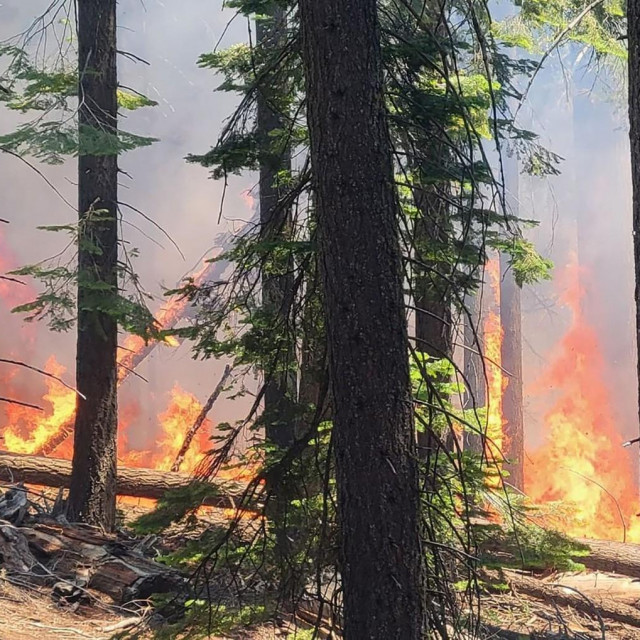 &lt;p&gt;Požar u nacionalnom parku Yosemite, srpanj 2022.&lt;/p&gt;