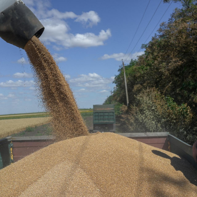 &lt;p&gt;Ukrajinski farmer skuplja žito uslijed ruske invazije&lt;/p&gt;