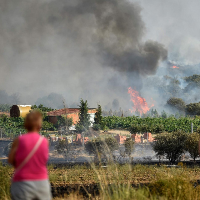 &lt;p&gt;Požar u vinogradima na sjeveroistoku Španjolske &lt;/p&gt;
