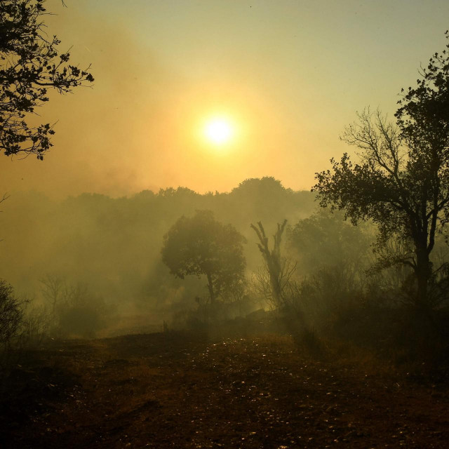 &lt;p&gt;Šumski požar u Francuskoj (arhivska fotografija)&lt;/p&gt;