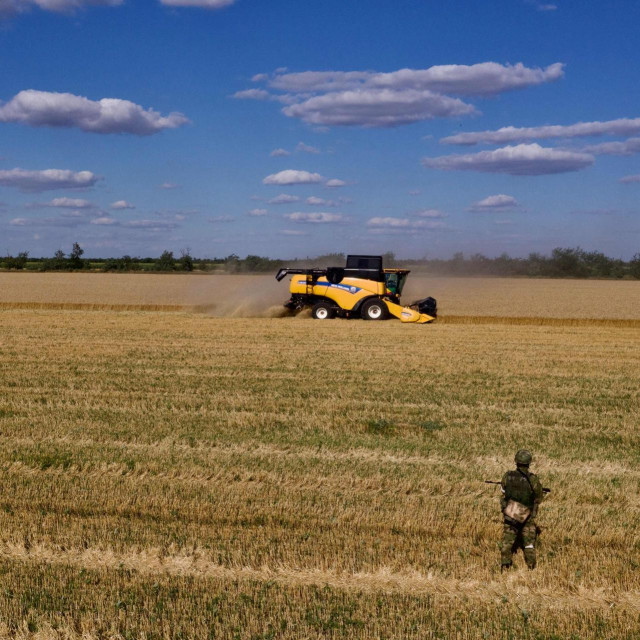 &lt;p&gt;Žitna polja u Ukrajini&lt;/p&gt;