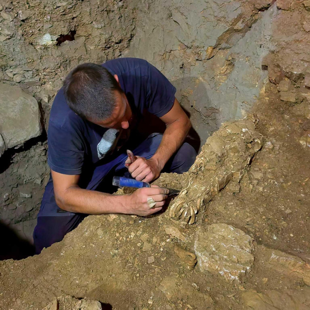 &lt;p&gt;Istraživanje pećine Vlakno na Dugom otoku, pronađen kostru glave konja star 17 tisuća godina&lt;/p&gt;