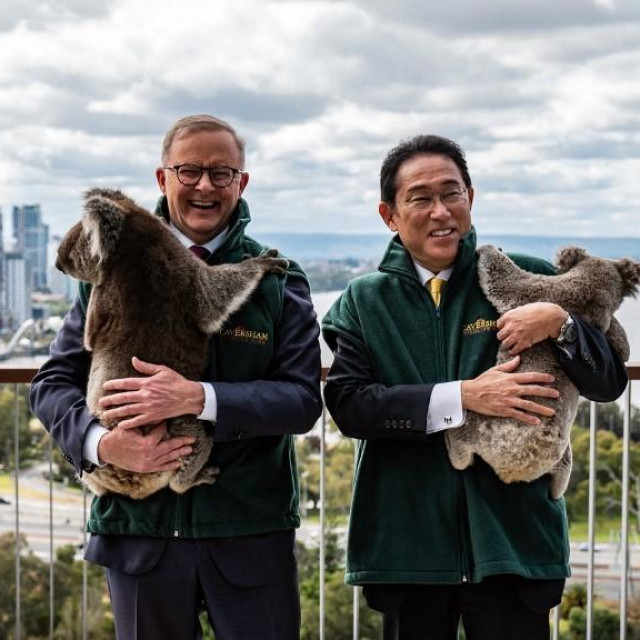 &lt;p&gt;Anthony Albanese i Kishida Fumio pozirali s koalama&lt;/p&gt;