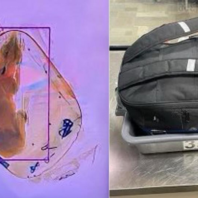 &lt;p&gt;TSA poručuje da je potrebno izvaditi životinje iz torbe kako bi praznu nosiljku mogli poslati kroz rendgenske zrake&lt;/p&gt;