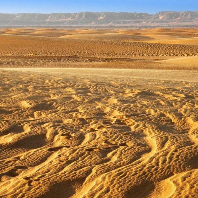 Ilustracija, Sahara
