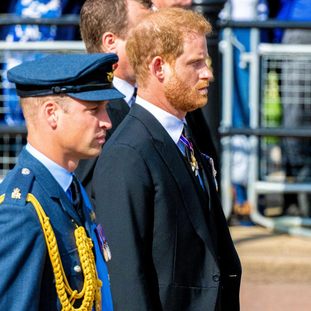 &lt;p&gt;Point de Vue Out&lt;br&gt;
Mandatory Credit: Photo by Shutterstock (13390185e)&lt;br&gt;
Prince William of Wales and Prince Harry Duke of Sussex follow Her Majesty the Queen‘s coffin on foot as it is transported to the Palace of Westminster, before lying in state in Westminster Hall in London.&lt;br&gt;
Queen Elizabeth II‘s coffin procession from Buckingham Palace to Westminster Hall, London, UK - 14 Sep 2022&lt;/p&gt;