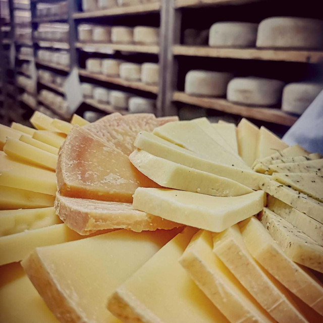 Paški sir