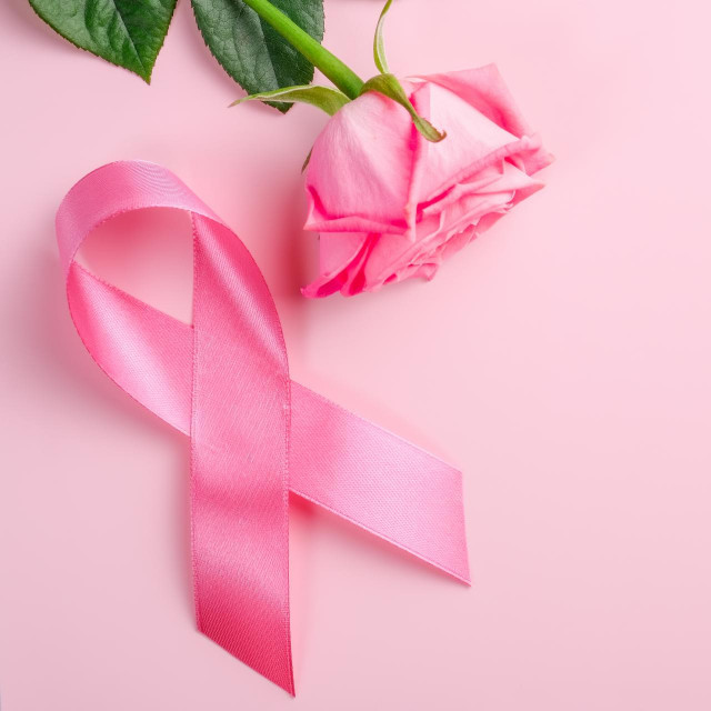 &lt;p&gt;U Hrvatskoj šestu godinu zaredom bilježimo pad smrtnosti od raka dojke&lt;/p&gt;