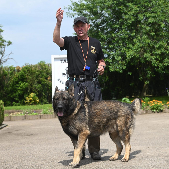 Stjepan Kos i njegov pas, koji traži uzorak mirisa eksploziva postavljen u automobilu 
 