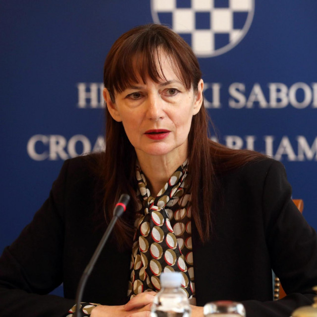 &lt;p&gt;Predsjednica Odbora za obitelj, mlade, i sport Vesna Vučemilović&lt;/p&gt;